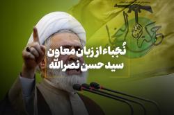 نُجَباء از زبان معاون سیدحسن نصرالله