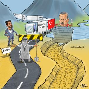 تنبیه اردوغان