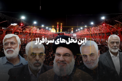 این نخل‌های سرافراز