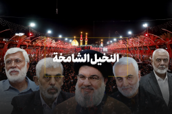 النخيل الشامخة